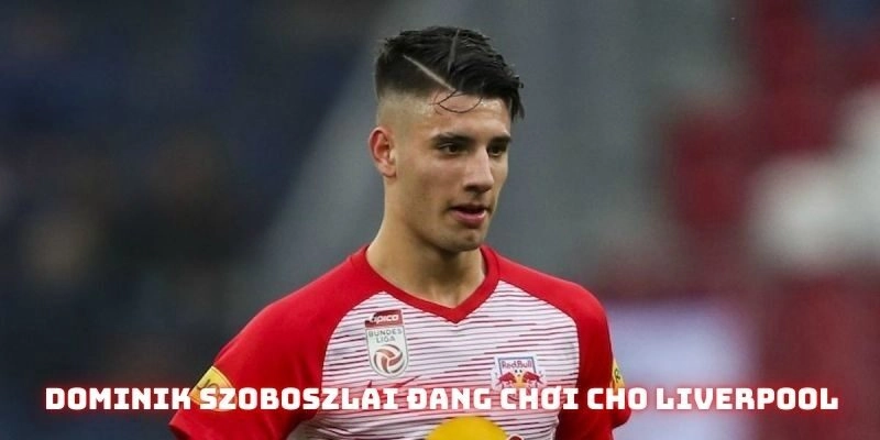 Dominik Szoboszlai hiện đang dầu quân cho Liverpool