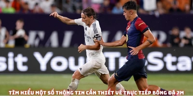 Tìm hiểu một số thông tin cần thiết về trực tiếp bóng đá 7M