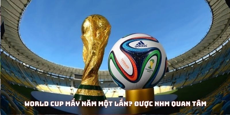 World Cup mấy năm một lần được NHM quan tâm