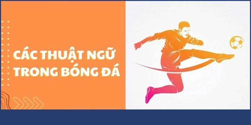thuat-ngu-trong-bong-da-thumb